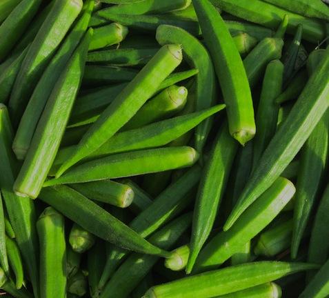 Ankur-41 Bhindi Seeds - Okra Seeds