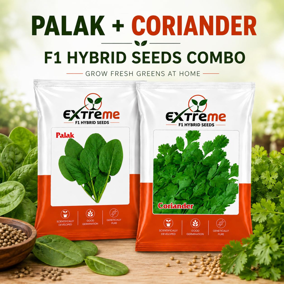 Extreme F1 Hybrid Palak & Coriander Seeds Combo Pack 30g (20g Palak + 10g Coriander) | Spinach & Dhaniya Seeds | Vegetable Seeds for Home, Kitchen & Terrace Garden