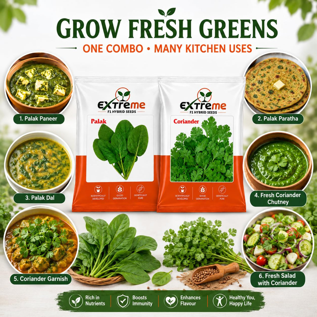 Extreme F1 Hybrid Palak & Coriander Seeds Combo Pack 30g (20g Palak + 10g Coriander) | Spinach & Dhaniya Seeds | Vegetable Seeds for Home, Kitchen & Terrace Garden