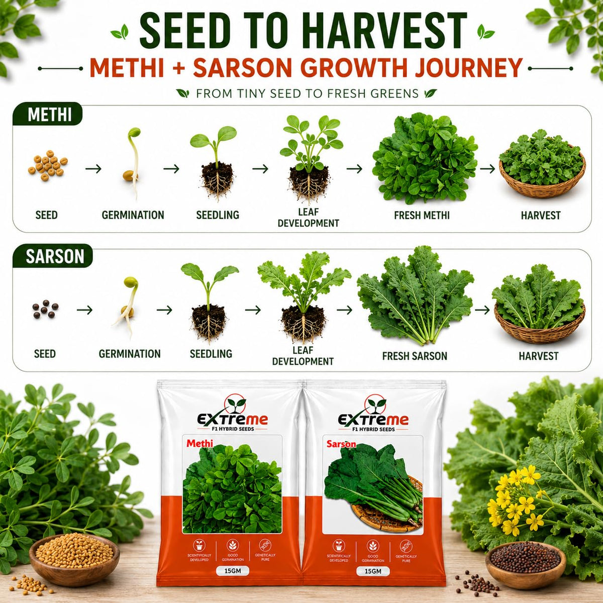 Extreme F1 Hybrid Methi & Sarson Seeds Combo Pack 30g (15g Each) | Fenugreek & Mustard Seeds | Vegetable Seeds for Home, Kitchen & Terrace Garden