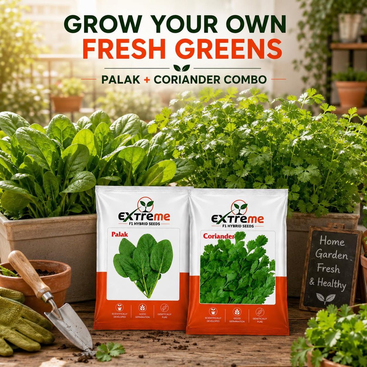 Extreme F1 Hybrid Palak & Coriander Seeds Combo Pack 30g (20g Palak + 10g Coriander) | Spinach & Dhaniya Seeds | Vegetable Seeds for Home, Kitchen & Terrace Garden