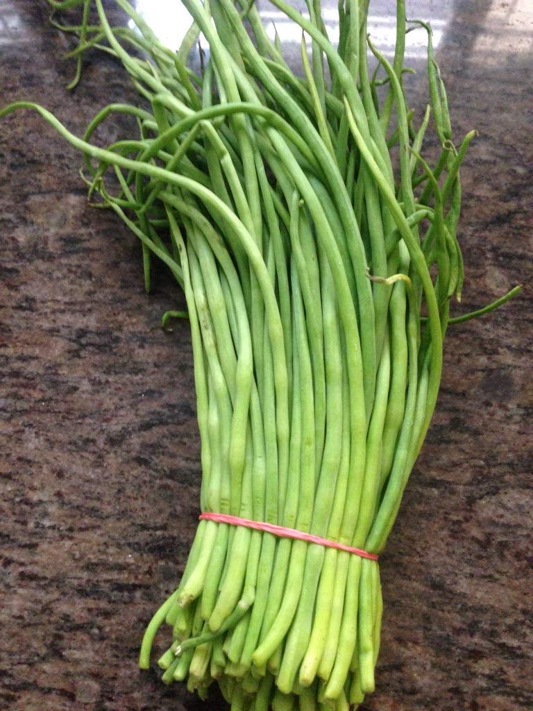 EXTREME SEEDS SINGRA Seeds for Outdoor