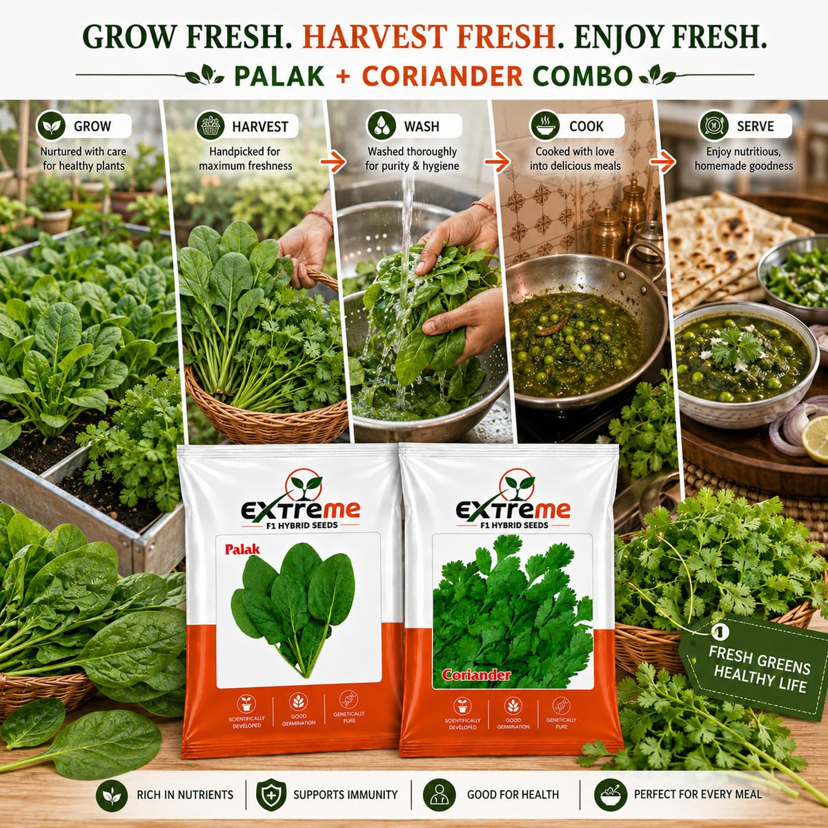 Extreme F1 Hybrid Palak & Coriander Seeds Combo Pack 30g (20g Palak + 10g Coriander) | Spinach & Dhaniya Seeds | Vegetable Seeds for Home, Kitchen & Terrace Garden
