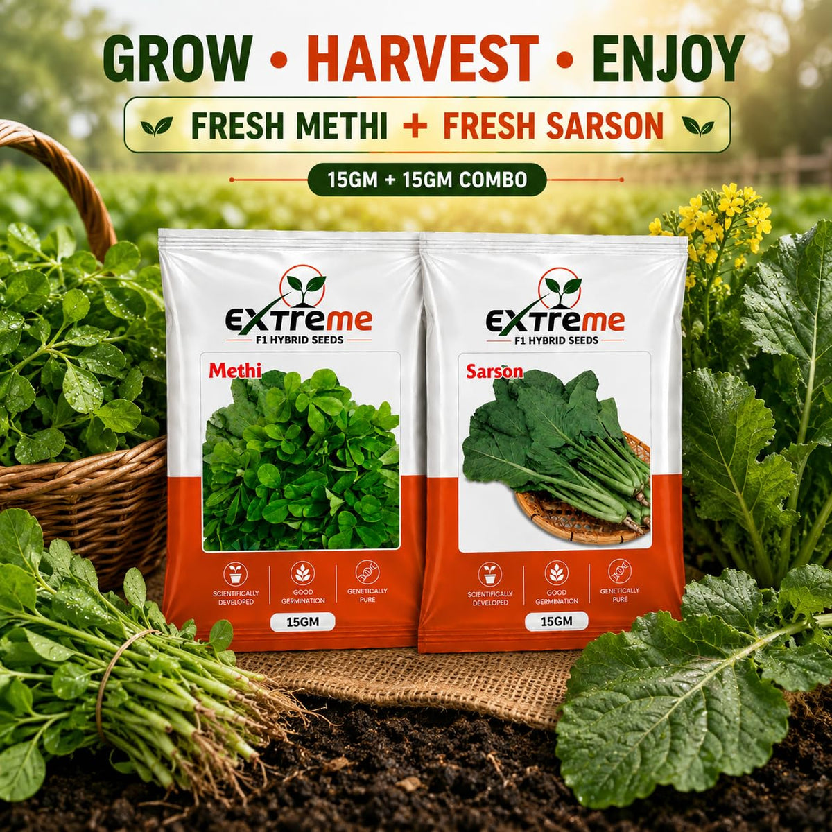 Extreme F1 Hybrid Methi & Sarson Seeds Combo Pack 30g (15g Each) | Fenugreek & Mustard Seeds | Vegetable Seeds for Home, Kitchen & Terrace Garden