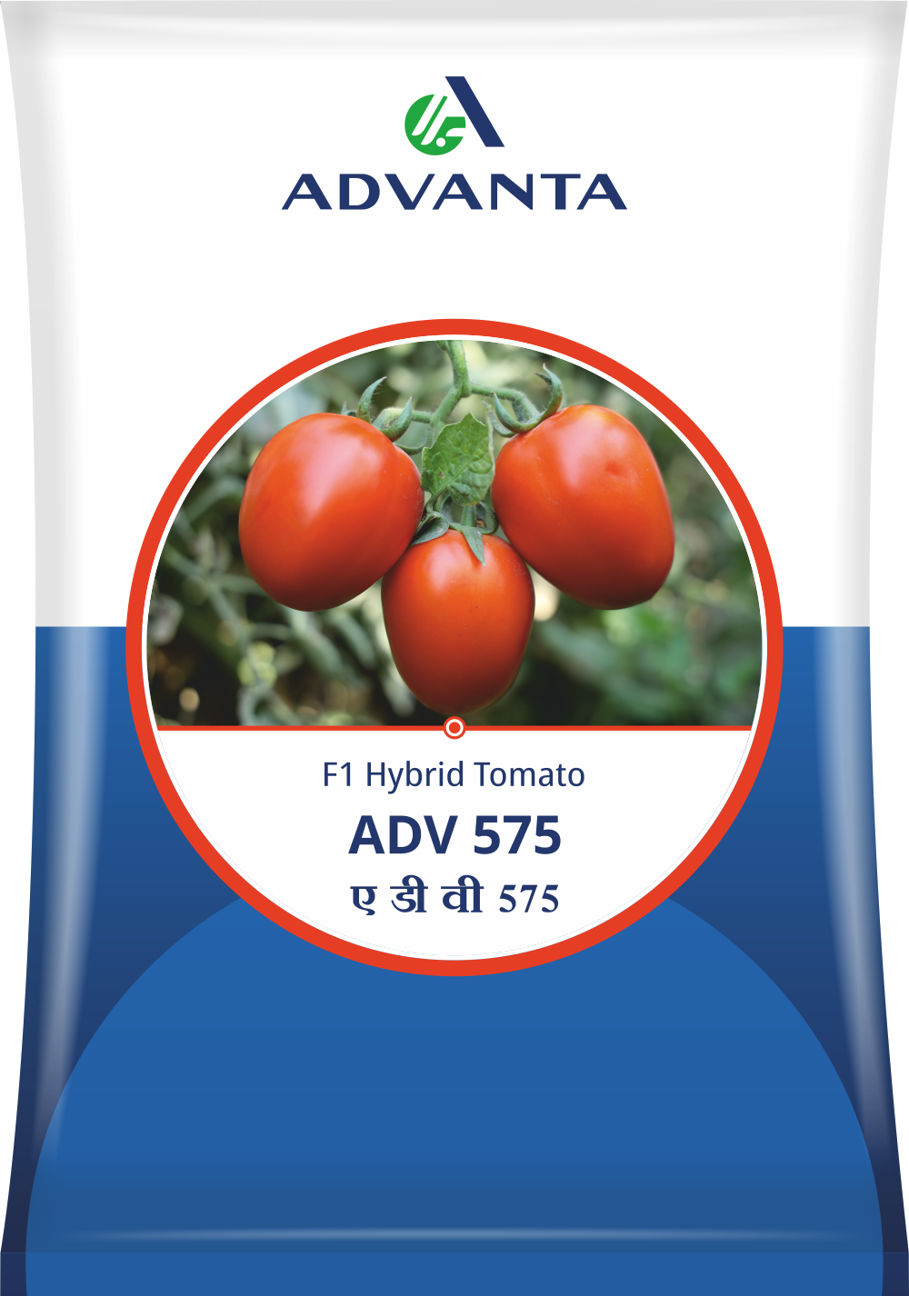 Advanta ADVANTA F1 Hybrid  575 Tomato Seeds - (Tamatar Seeds) High TYLCV Tolerant, Suitable For Summer Season