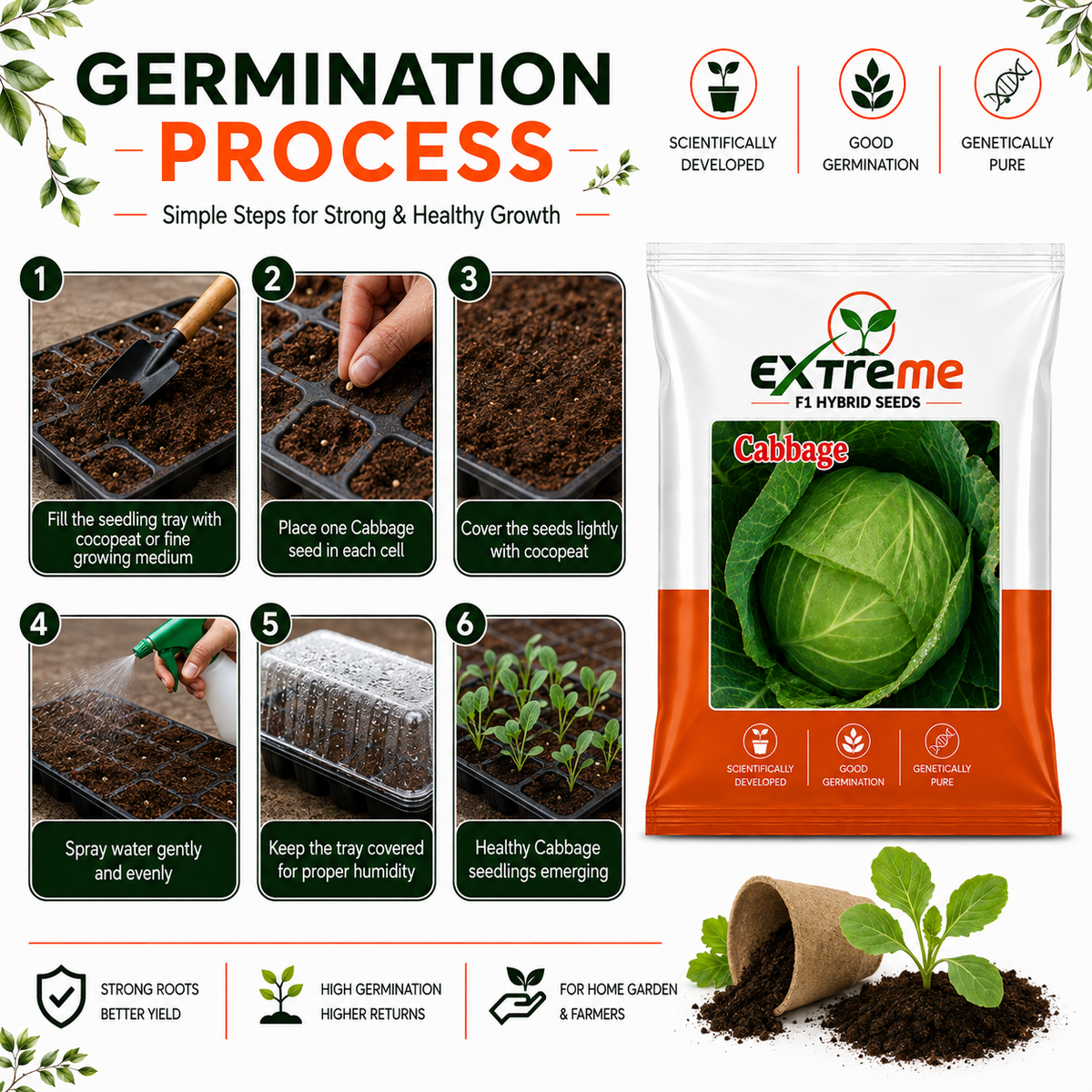 Extreme F1 Hybrid Cabbage Seeds 1 Gram (1000 mg) | Patta Gobhi Vegetable Seeds for Home, Kitchen Garden & Farming | Good Germination & Genetically Pure Seeds