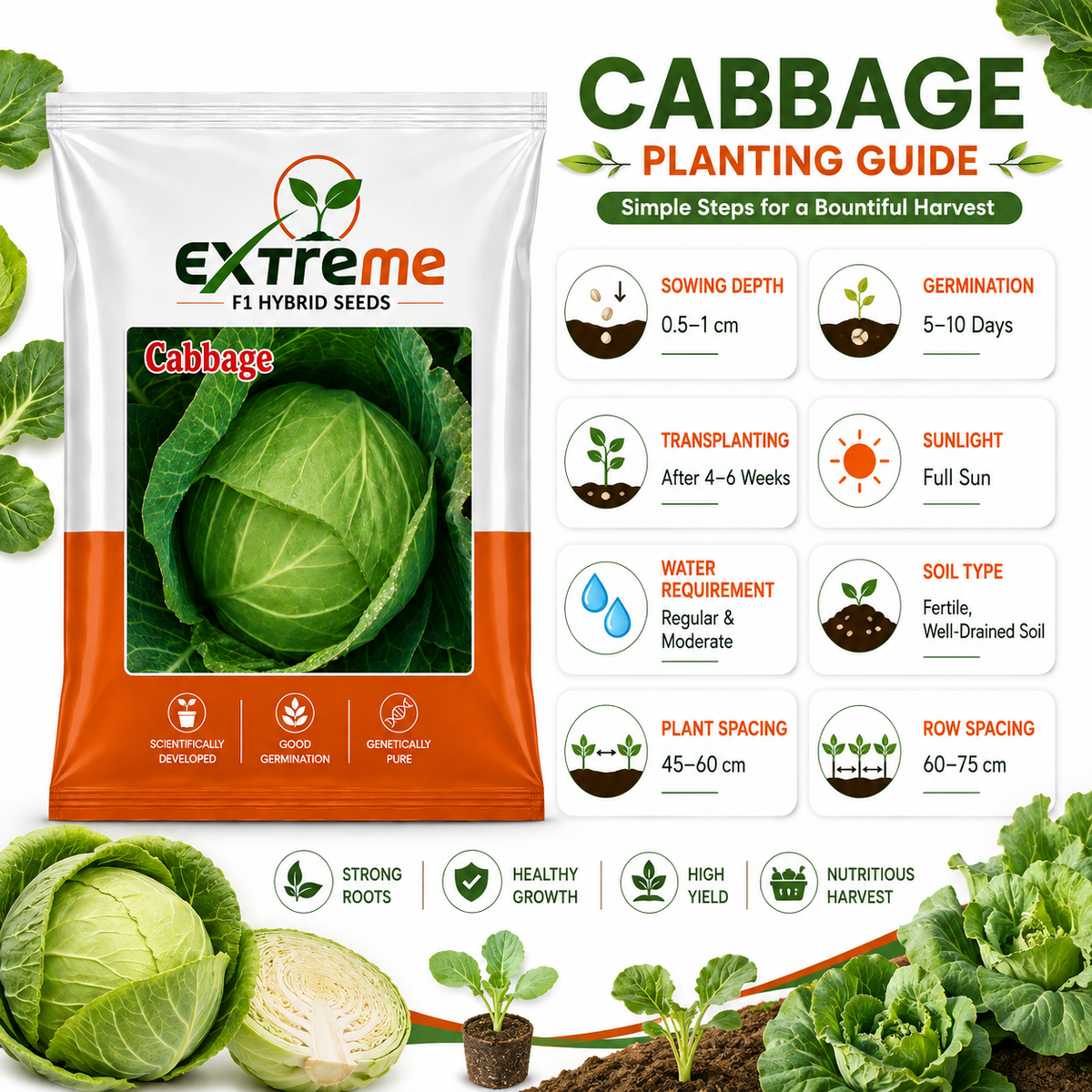 Extreme F1 Hybrid Cabbage Seeds 1 Gram (1000 mg) | Patta Gobhi Vegetable Seeds for Home, Kitchen Garden & Farming | Good Germination & Genetically Pure Seeds