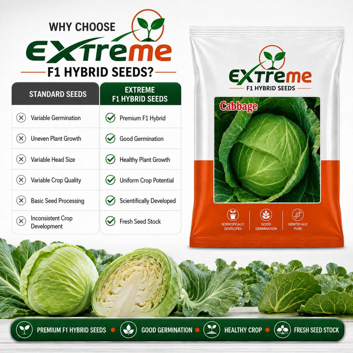 Extreme F1 Hybrid Cabbage Seeds 1 Gram (1000 mg) | Patta Gobhi Vegetable Seeds for Home, Kitchen Garden & Farming | Good Germination & Genetically Pure Seeds