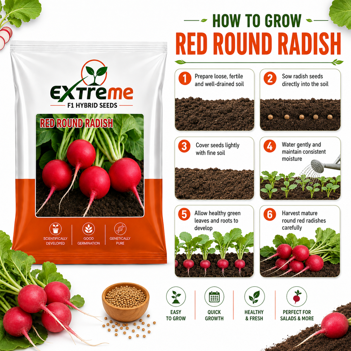 Extreme F1 Hybrid Red Round Radish Seeds 5g | Red Round Mooli Beej | Round Radish Vegetable Seeds for Kitchen Garden, Home Garden & Terrace Garden