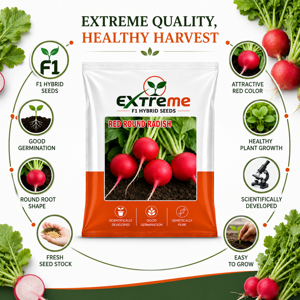 Extreme F1 Hybrid Red Round Radish Seeds 5g | Red Round Mooli Beej | Round Radish Vegetable Seeds for Kitchen Garden, Home Garden & Terrace Garden