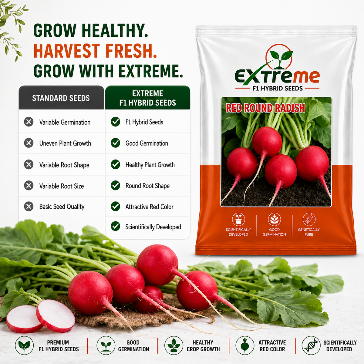 Extreme F1 Hybrid Red Round Radish Seeds 5g | Red Round Mooli Beej | Round Radish Vegetable Seeds for Kitchen Garden, Home Garden & Terrace Garden