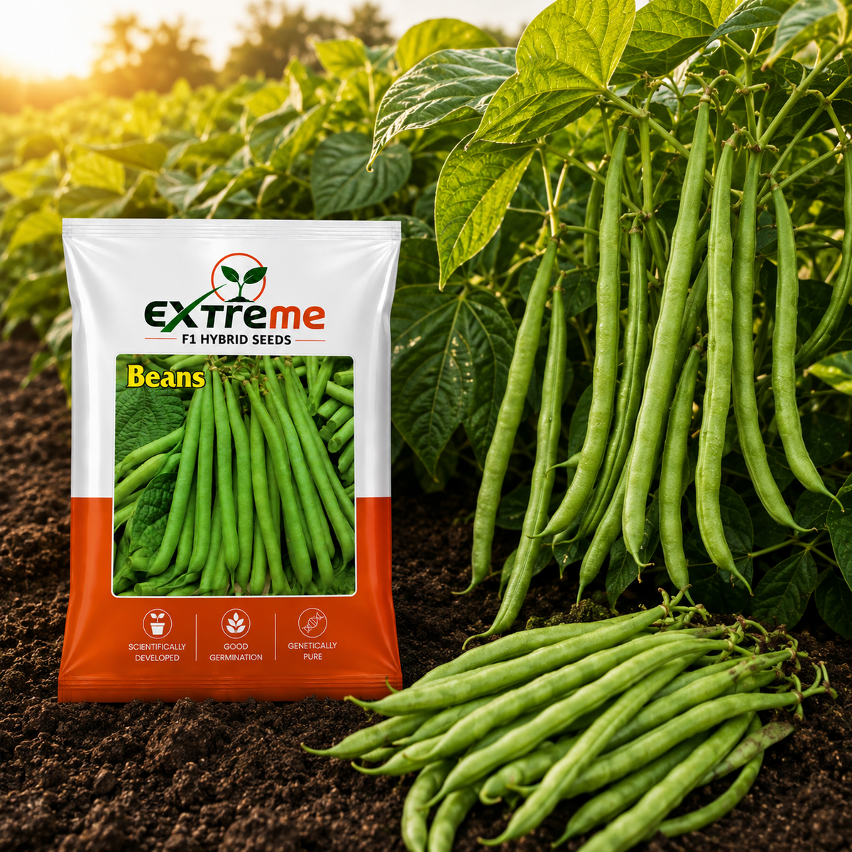 Extreme F1 Hybrid Beans Seeds 10g | Green Vegetable Seeds | Beej for Kitchen Garden, Home Garden, Terrace Garden & Outdoor Farming