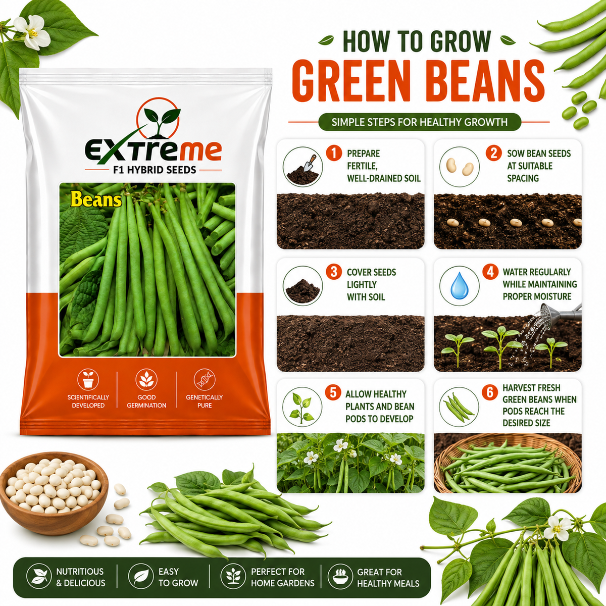 Extreme F1 Hybrid Beans Seeds 10g | Green Vegetable Seeds | Beej for Kitchen Garden, Home Garden, Terrace Garden & Outdoor Farming