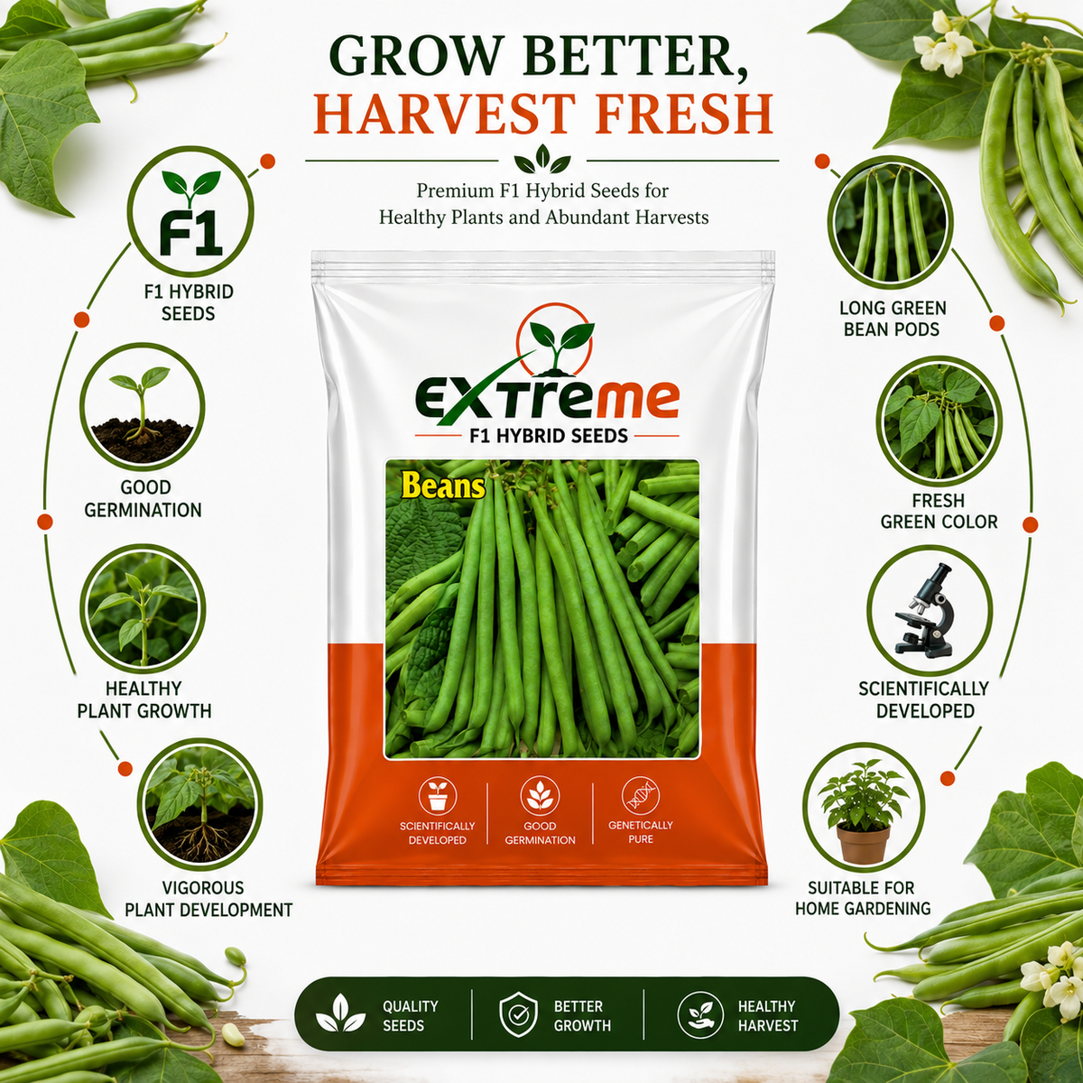 Extreme F1 Hybrid Beans Seeds 10g | Green Vegetable Seeds | Beej for Kitchen Garden, Home Garden, Terrace Garden & Outdoor Farming