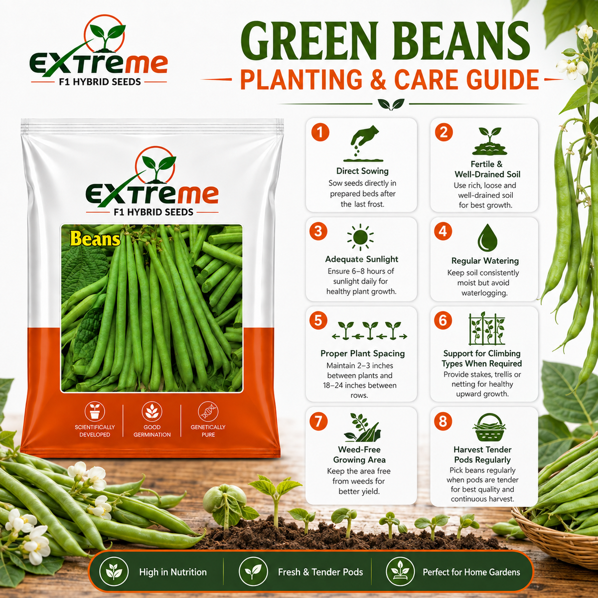 Extreme F1 Hybrid Beans Seeds 10g | Green Vegetable Seeds | Beej for Kitchen Garden, Home Garden, Terrace Garden & Outdoor Farming