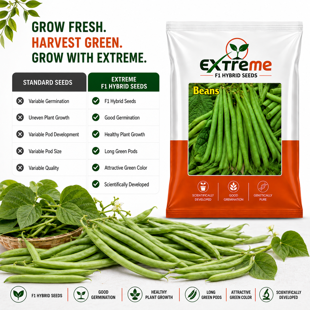 Extreme F1 Hybrid Beans Seeds 10g | Green Vegetable Seeds | Beej for Kitchen Garden, Home Garden, Terrace Garden & Outdoor Farming