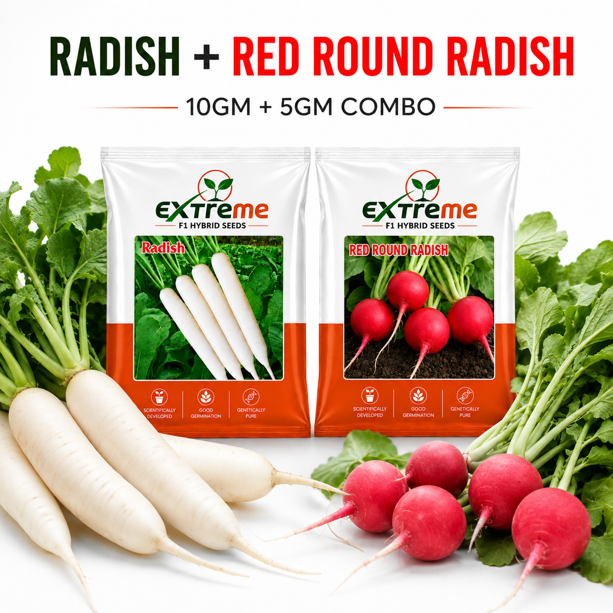 Extreme F1 Hybrid Radish & Red Round Radish Seeds Combo Pack 15g (10g + 5g) | White Radish & Red Radish Seeds | Vegetable Seeds for Home, Kitchen & Terrace Garden
