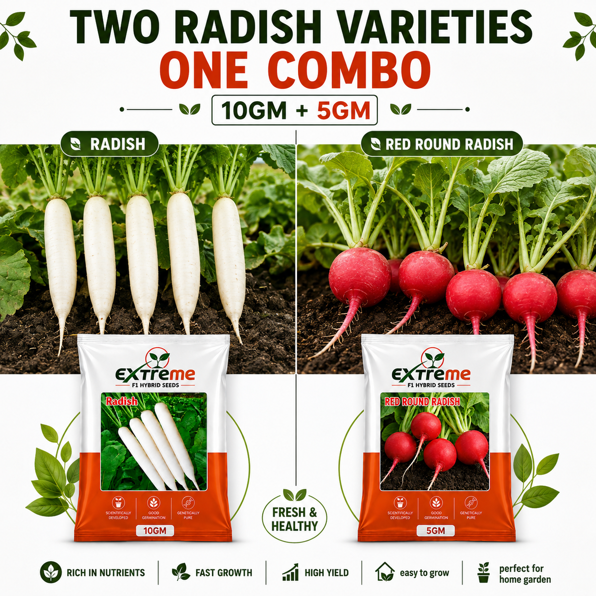 Extreme F1 Hybrid Radish & Red Round Radish Seeds Combo Pack 15g (10g + 5g) | White Radish & Red Radish Seeds | Vegetable Seeds for Home, Kitchen & Terrace Garden