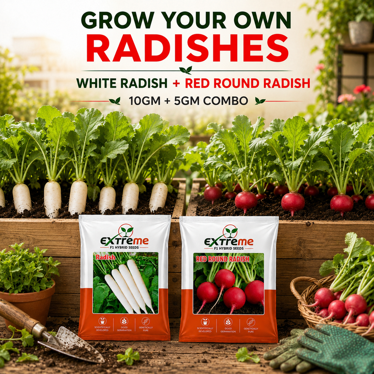Extreme F1 Hybrid Radish & Red Round Radish Seeds Combo Pack 15g (10g + 5g) | White Radish & Red Radish Seeds | Vegetable Seeds for Home, Kitchen & Terrace Garden