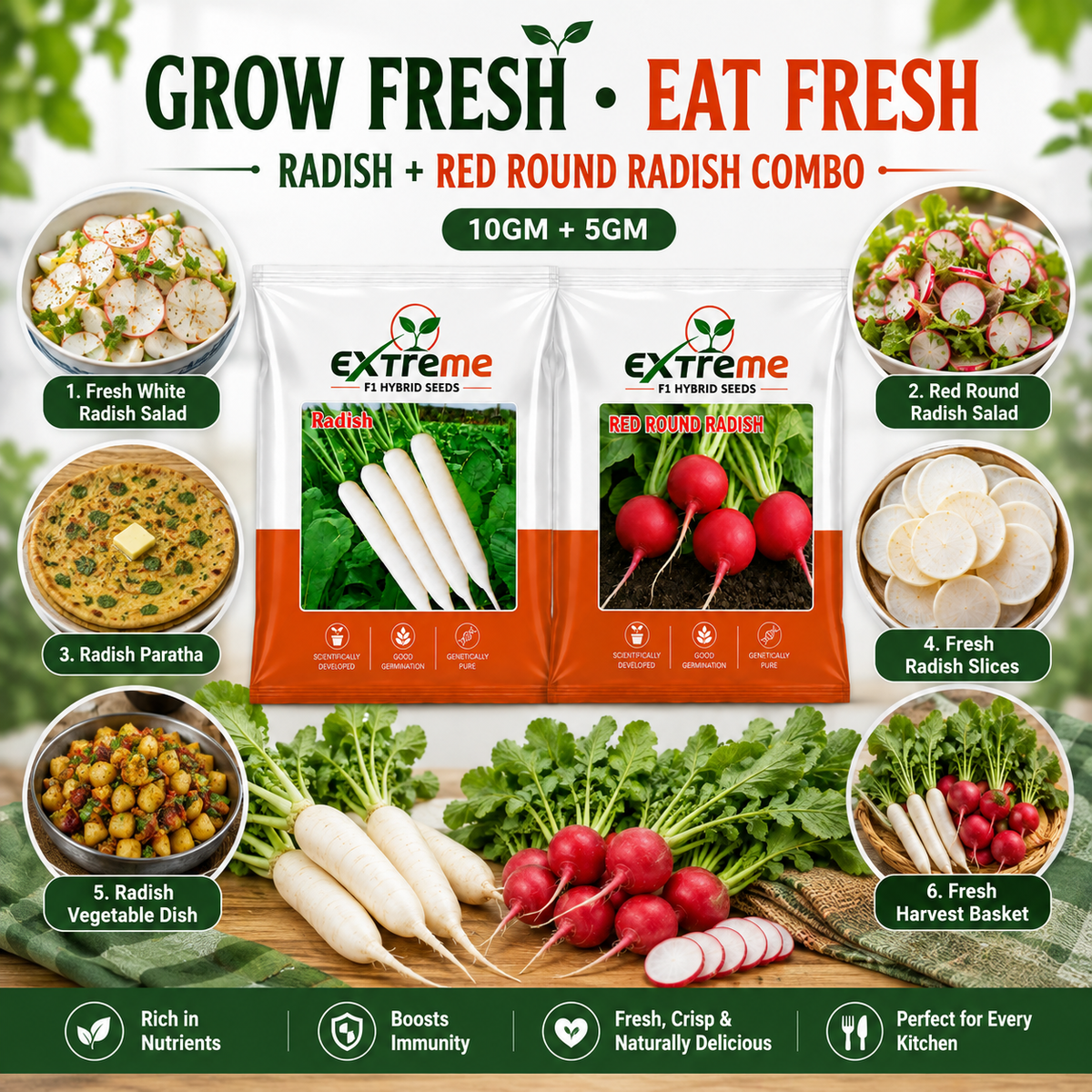 Extreme F1 Hybrid Radish & Red Round Radish Seeds Combo Pack 15g (10g + 5g) | White Radish & Red Radish Seeds | Vegetable Seeds for Home, Kitchen & Terrace Garden
