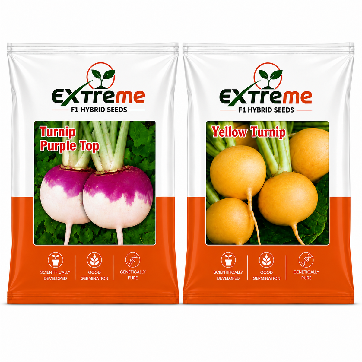 Extreme F1 Hybrid Purple Top & Yellow Turnip Seeds Combo Pack 20g (10g Each) | Turnip Beej | Vegetable Seeds for Home, Kitchen & Terrace Garden