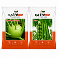 Extreme F1 Hybrid Knol Khol Seeds 1 GM + Peas Seeds 20 GM Combo | Kohlrabi & Green Peas Vegetable Seeds | Home Kitchen Terrace Garden | Outdoor Gardening