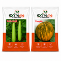 Extreme F1 Hybrid Bottle Gourd Seeds 12 GM + Pumpkin Seeds 5 GM Combo | Lauki & Petha Vegetable Seeds | Home Kitchen Terrace Garden | Outdoor Gardening