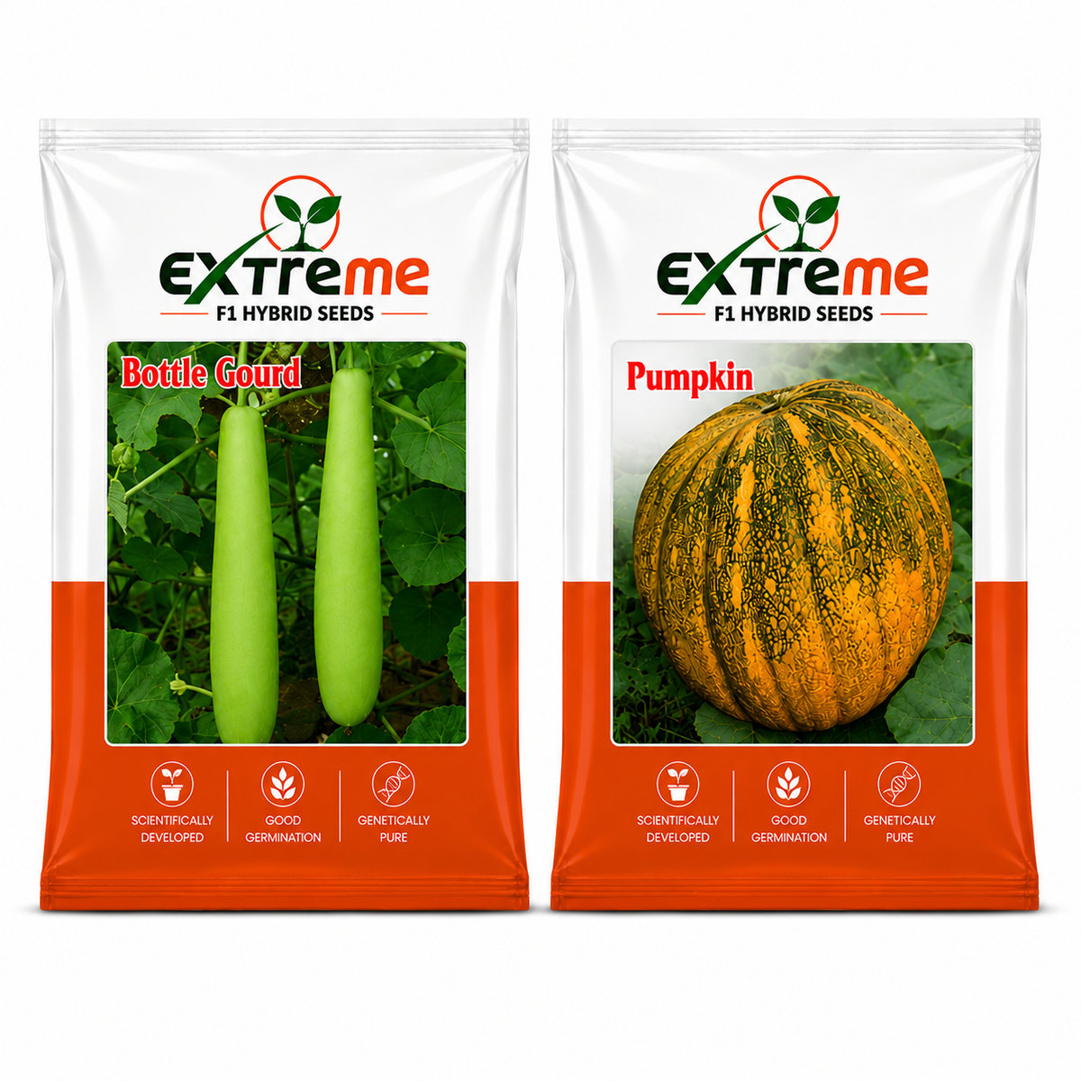Extreme F1 Hybrid Bottle Gourd Seeds 12 GM + Pumpkin Seeds 5 GM Combo | Lauki & Petha Vegetable Seeds | Home Kitchen Terrace Garden | Outdoor Gardening