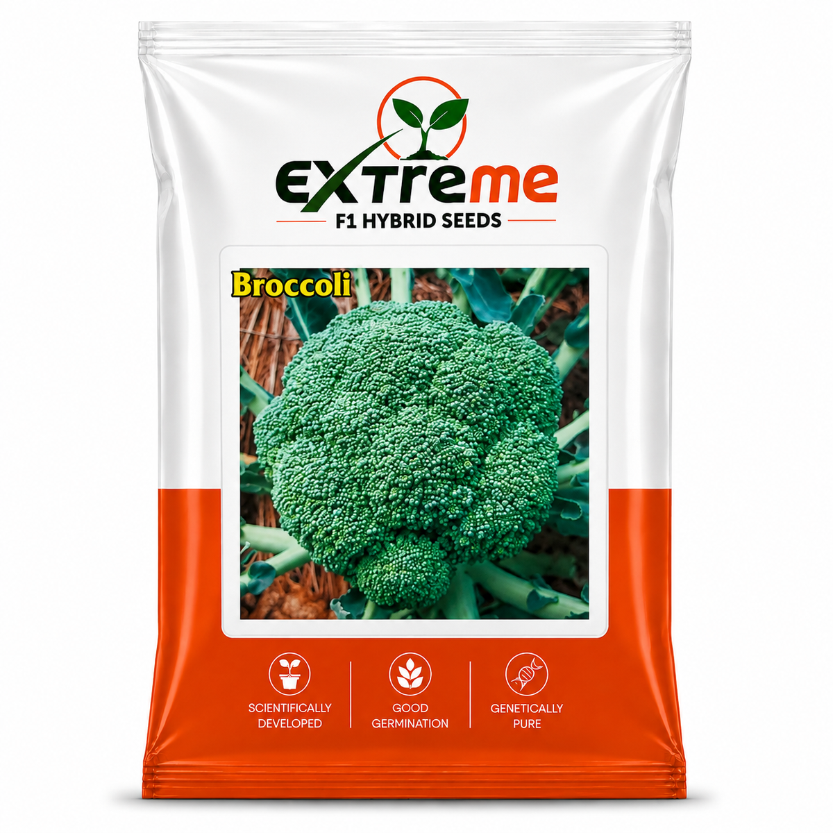 Extreme F1 Hybrid Broccoli Seeds 1 GM | Broccoli Vegetable Seeds for Home Garden, Kitchen Garden, Terrace Garden & Outdoor Farming | Easy to Grow Seeds