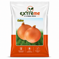 Extreme F1 Hybrid Copper Onion Seeds 10 GM | Premium Onion Vegetable Seeds | Pyaz Seeds for Home Garden, Kitchen Garden, Terrace Garden, Pots, Grow Bags & Outdoor Farming