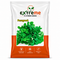 EXTREME Fenugreek Seeds 15GM | Metha Seeds for Home Garden & Kitchen Garden | Easy to Grow Green Leafy Vegetable Seeds