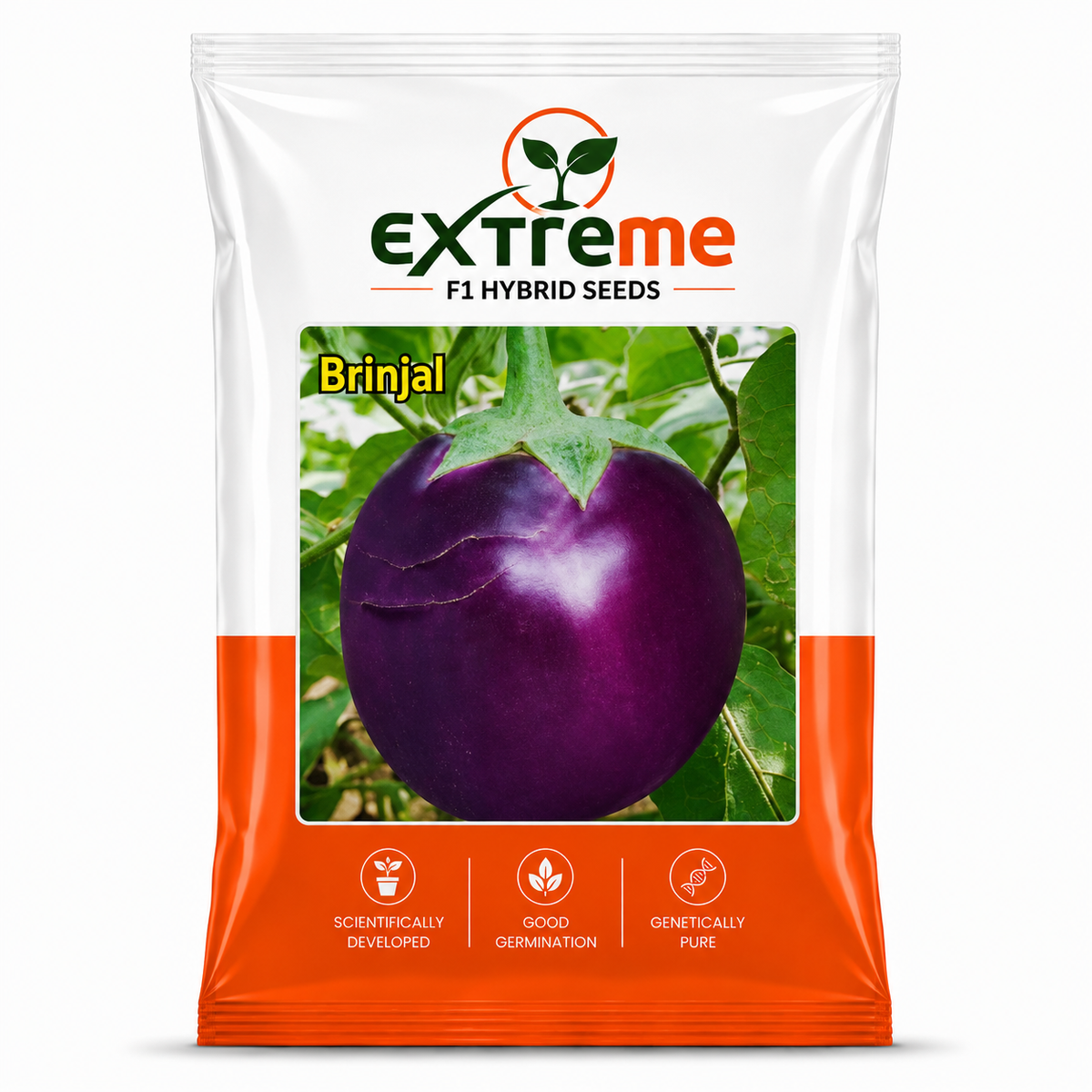 Extreme F1 Hybrid Brinjal Seeds 5 GM | Eggplant/Baingan Vegetable Seeds for Home Garden, Terrace Garden & Outdoor Farming | High Germination Vegetable Seeds