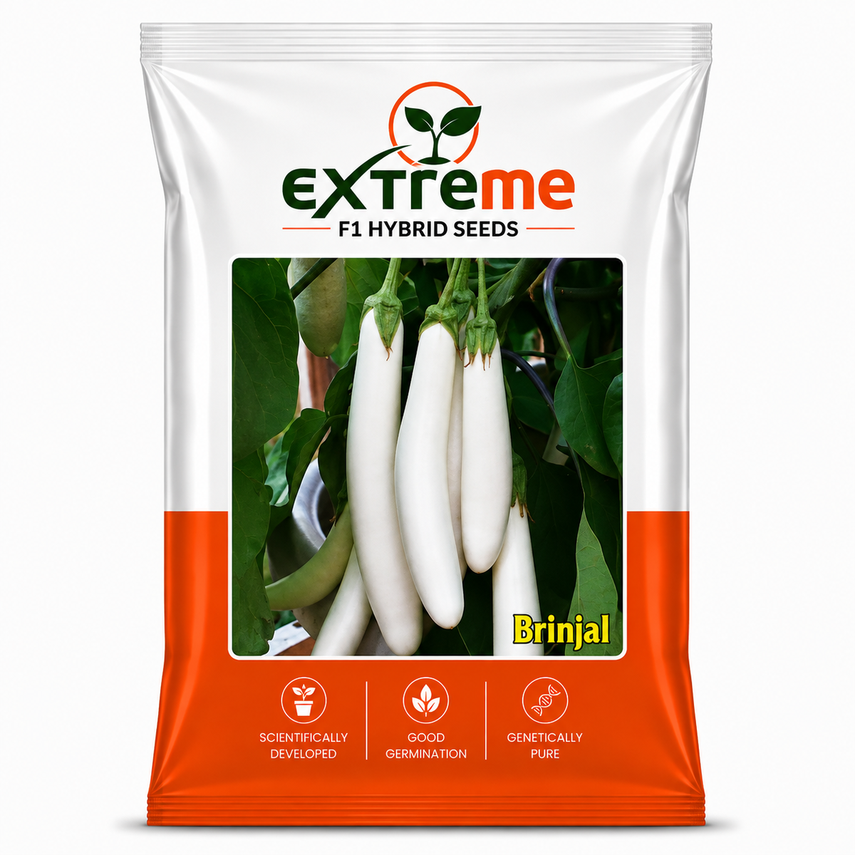 EXTREME F1 Hybrid White Brinjal Seeds for Home Garden & Outdoor Farming | White Eggplant Seeds for Kitchen Garden, Terrace Garden & Vegetable Growing | 1 GM
