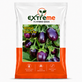 Extreme F1 Hybrid Brinjal Chu Chu Seeds 1 GM | Baingan/Eggplant Vegetable Seeds for Planting | Seeds for Home Garden, Kitchen Garden, Terrace Garden & Outdoor Farming
