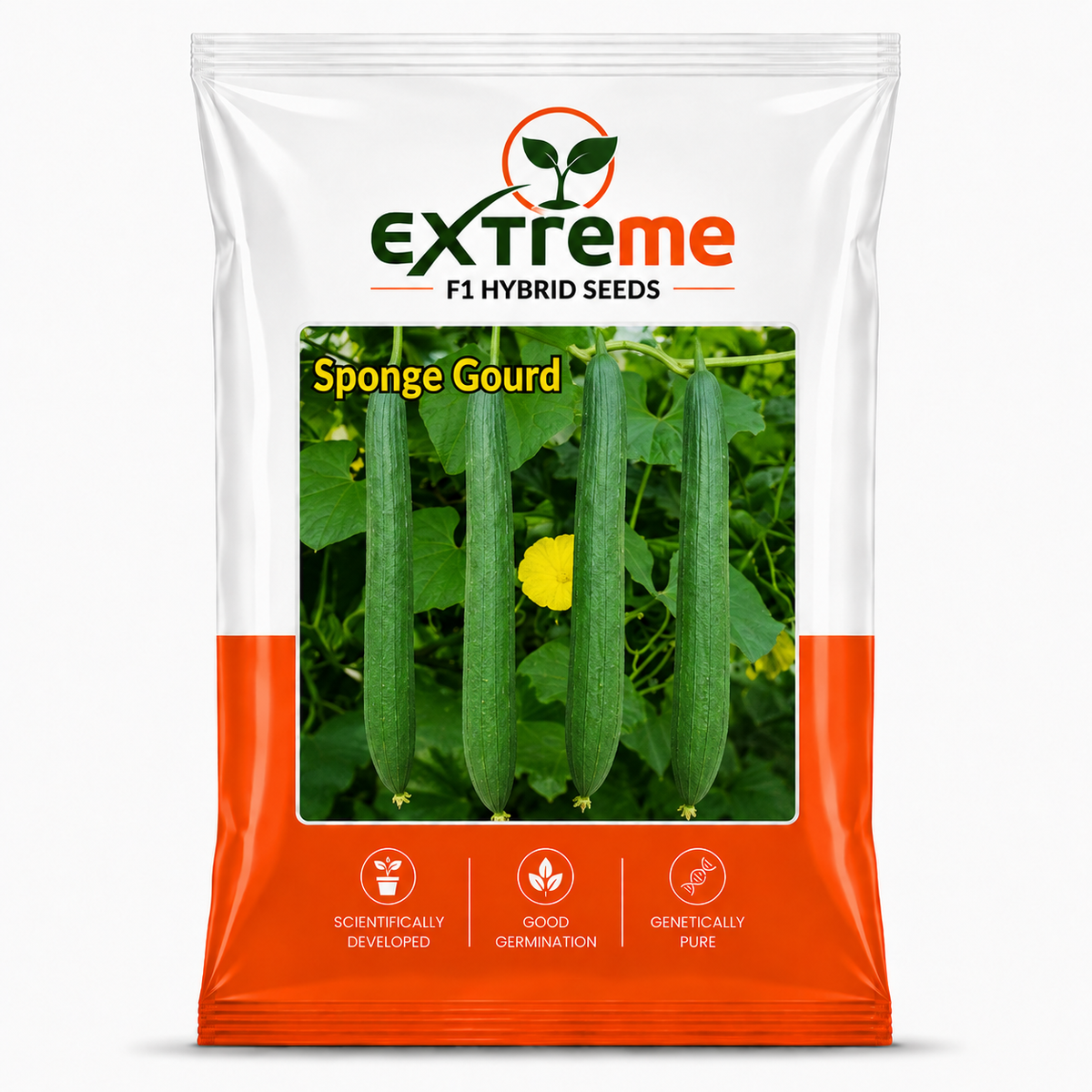 Extreme F1 Hybrid Black Sponge Gourd Seeds 5 GM | Turai/Tori/Gilki Vegetable Seeds for Planting | Seeds for Home Garden, Kitchen Garden, Terrace Garden & Outdoor Farming