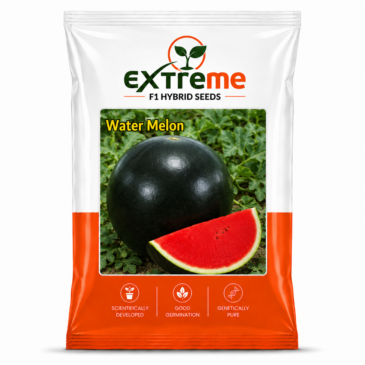 EXTREME F1 Hybrid Watermelon Seeds for Home Garden, Kitchen, Terrace Garden & Outdoor Growing | Premium Tarbooz for Fresh Fruit Cultivation | Pack of 20 Seeds