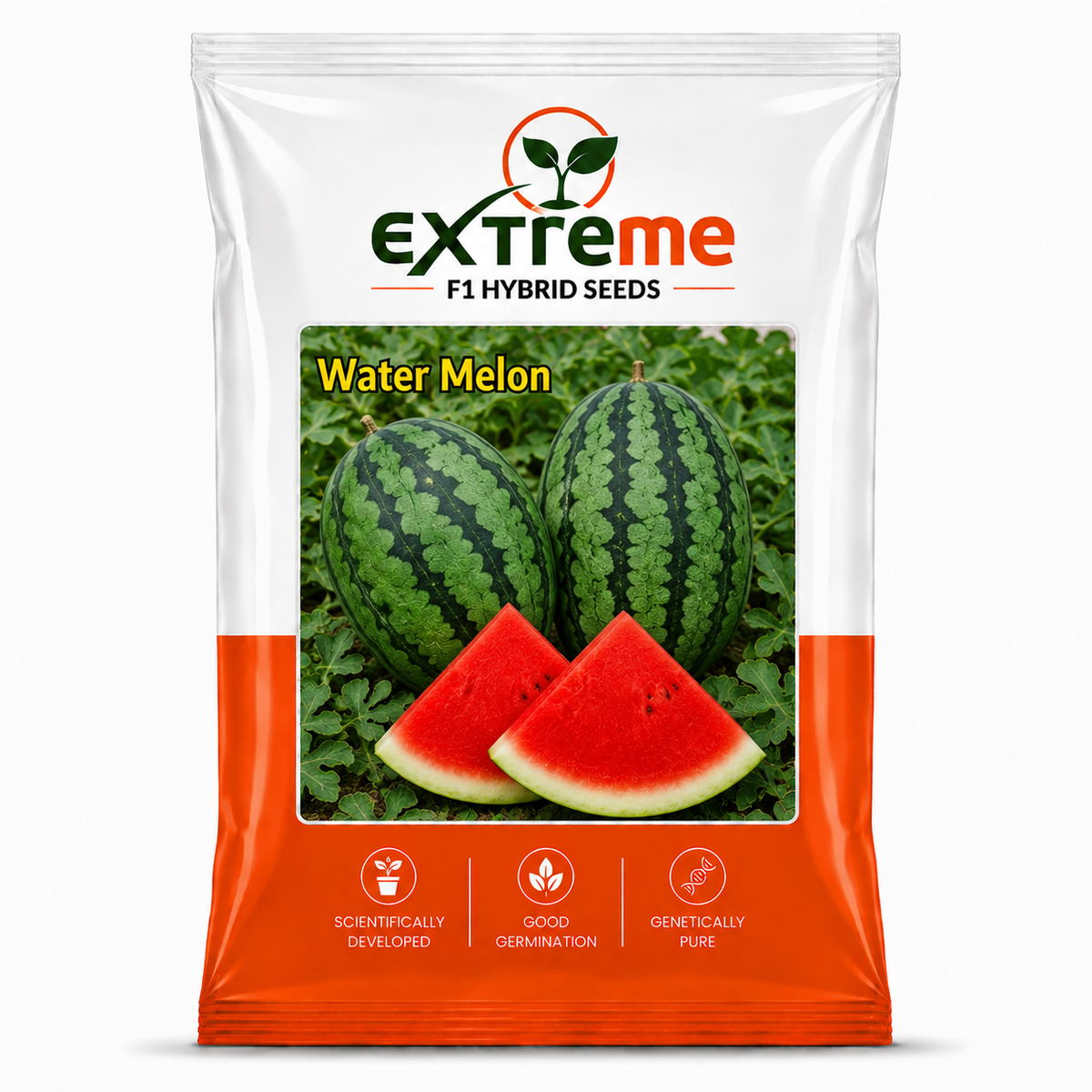 EXTREME F1 Hybrid Watermelon Seeds for Home Garden & Outdoor Farming | Tarbooz Seeds for Kitchen Garden, Terrace Garden & Fresh Fruit Growing | 20 Seeds