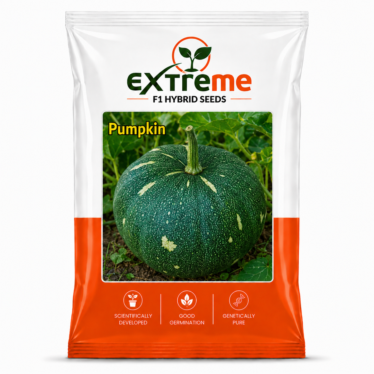 Extreme F1 Hybrid Pumpkin Seeds 5 GM | Premium Kaddu Seeds | Pumpkin Vegetable Seeds for Home Garden, Kitchen Garden, Terrace Garden, Pots, Grow Bags & Outdoor Farming