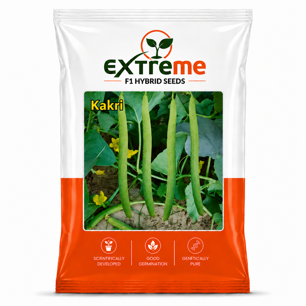 EXTREME F1 Hybrid Tar Kakri Seeds for Home Garden, Kitchen Garden, Terrace Garden & Outdoor Growing | Premium Vegetable Seeds for Fresh Tar Kakri Cultivation | 25 GM Pack