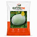 Extreme F1 Hybrid Ash Gourd Seeds 5 GM | Petha, Safed Petha & Winter Melon Seeds | Vegetable Seeds for Home, Kitchen & Terrace Garden | Outdoor Gardening