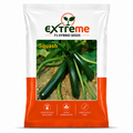 EXTREME F1 Hybrid Zucchini Seeds for Home Garden, Kitchen Garden, Terrace Garden & Outdoor Growing | Premium Zucchini Seeds for Fresh Vegetable Cultivation | 5 GM Pack