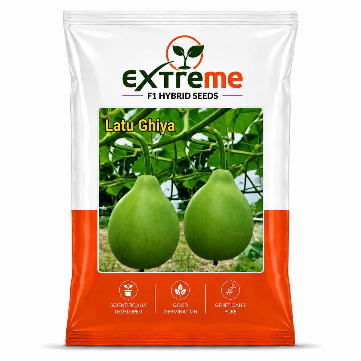 Extreme F1 Hybrid Latu Ghiya Seeds 10 GM | Premium Bottle Gourd Seeds | Lauki Seeds for Home Garden, Kitchen Garden, Terrace Garden, Pots, Grow Bags & Outdoor Farming