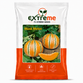 EXTREME Desi Kajri Musk Melon Seeds 2GM | Kajri Kharbooja for Home Garden, Kitchen Garden, Pots & Grow Bags | Fruit Crop Seeds