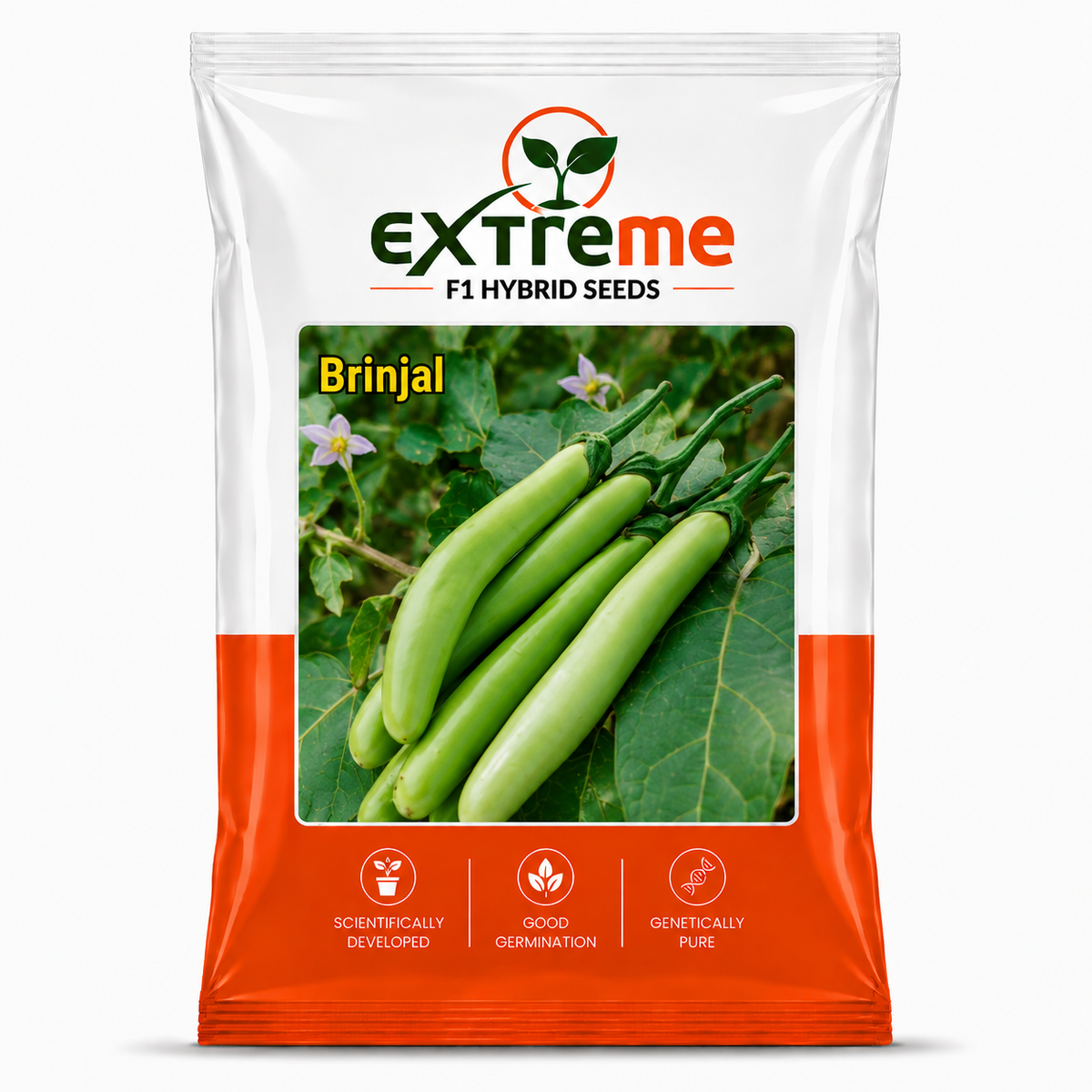 Extreme F1 Hybrid Green Long Brinjal Seeds 1 GM | Premium Green Long Brinjal Seeds | Eggplant Vegetable Seeds for Home Garden, Kitchen Garden, Terrace Garden, Pots, Grow Bags & Outdoor Farming