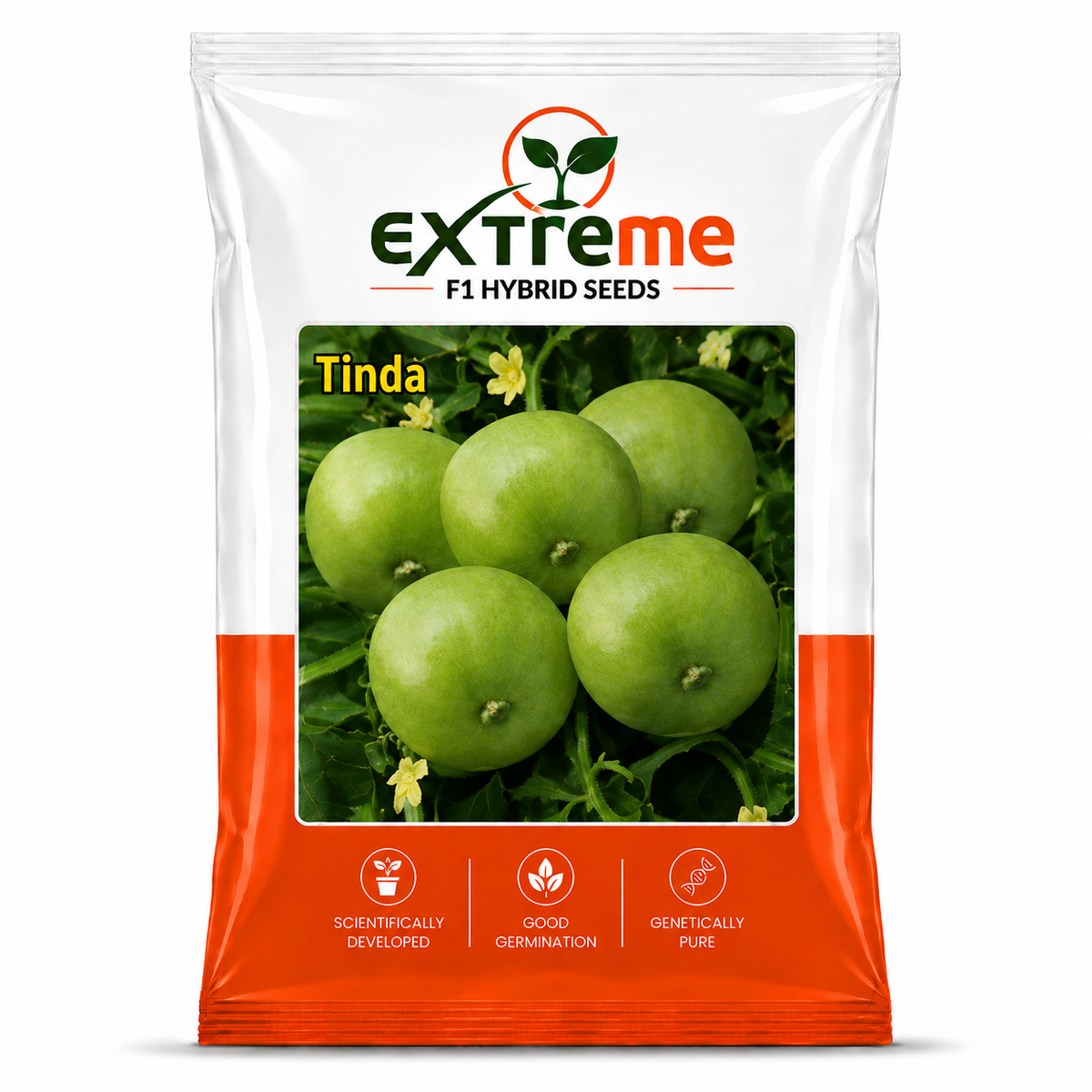 EXTREME F1 Hybrid Tinda Seeds for Home Garden, Kitchen Garden, Terrace Garden & Outdoor Growing | Round Green Vegetable Seeds for Fresh Tinda Cultivation | 15 GM Pack