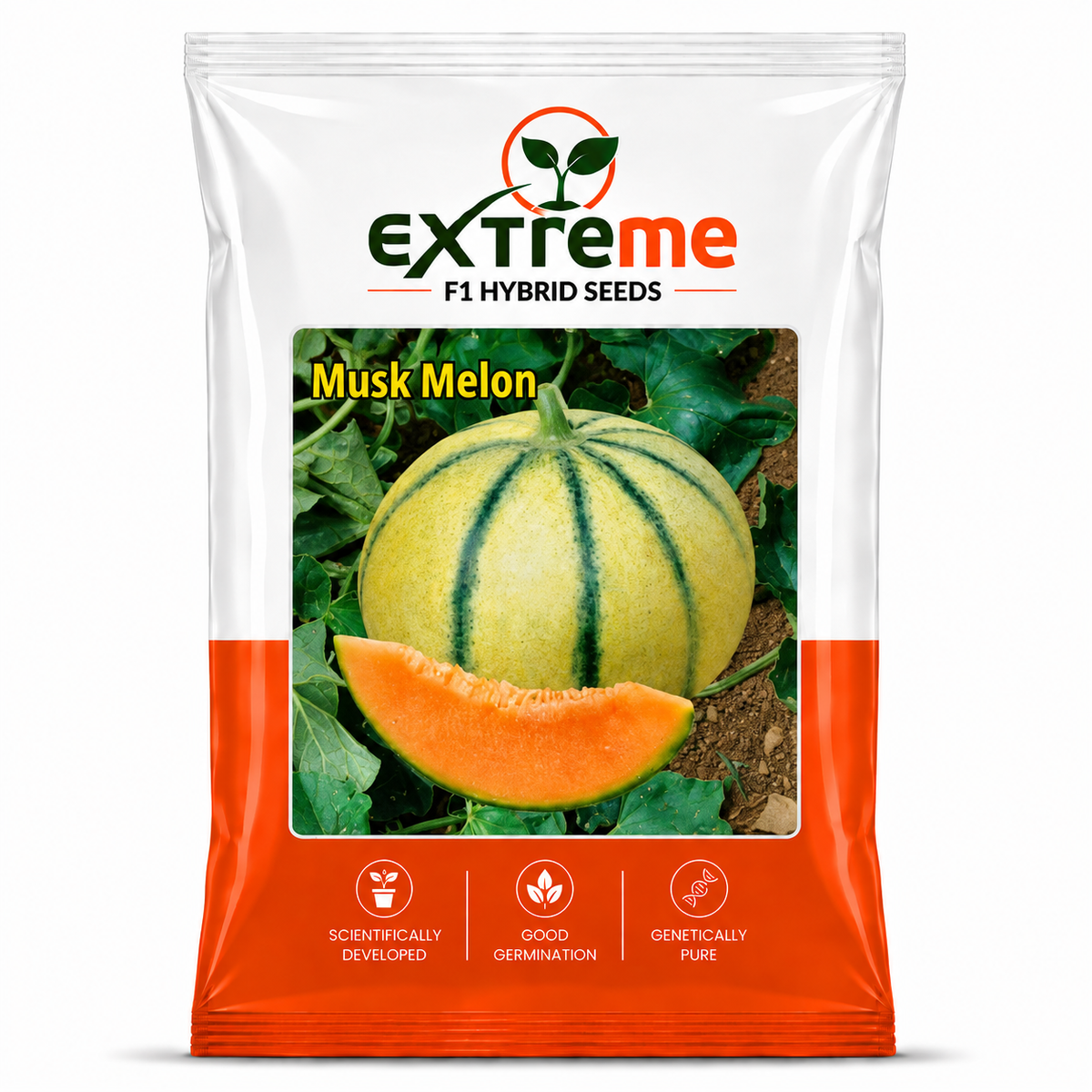 EXTREME F1 Hybrid Muskmelon (Kharbooz) 1GM Seeds for Home Garden, Terrace Garden & Outdoor Growing | Premium Melon Seeds for Fresh Fruit Cultivation
