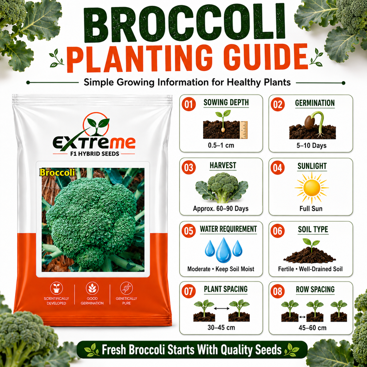 Extreme F1 Hybrid Broccoli Seeds 1 GM | Broccoli Vegetable Seeds for Home Garden, Kitchen Garden, Terrace Garden & Outdoor Farming | Easy to Grow Seeds