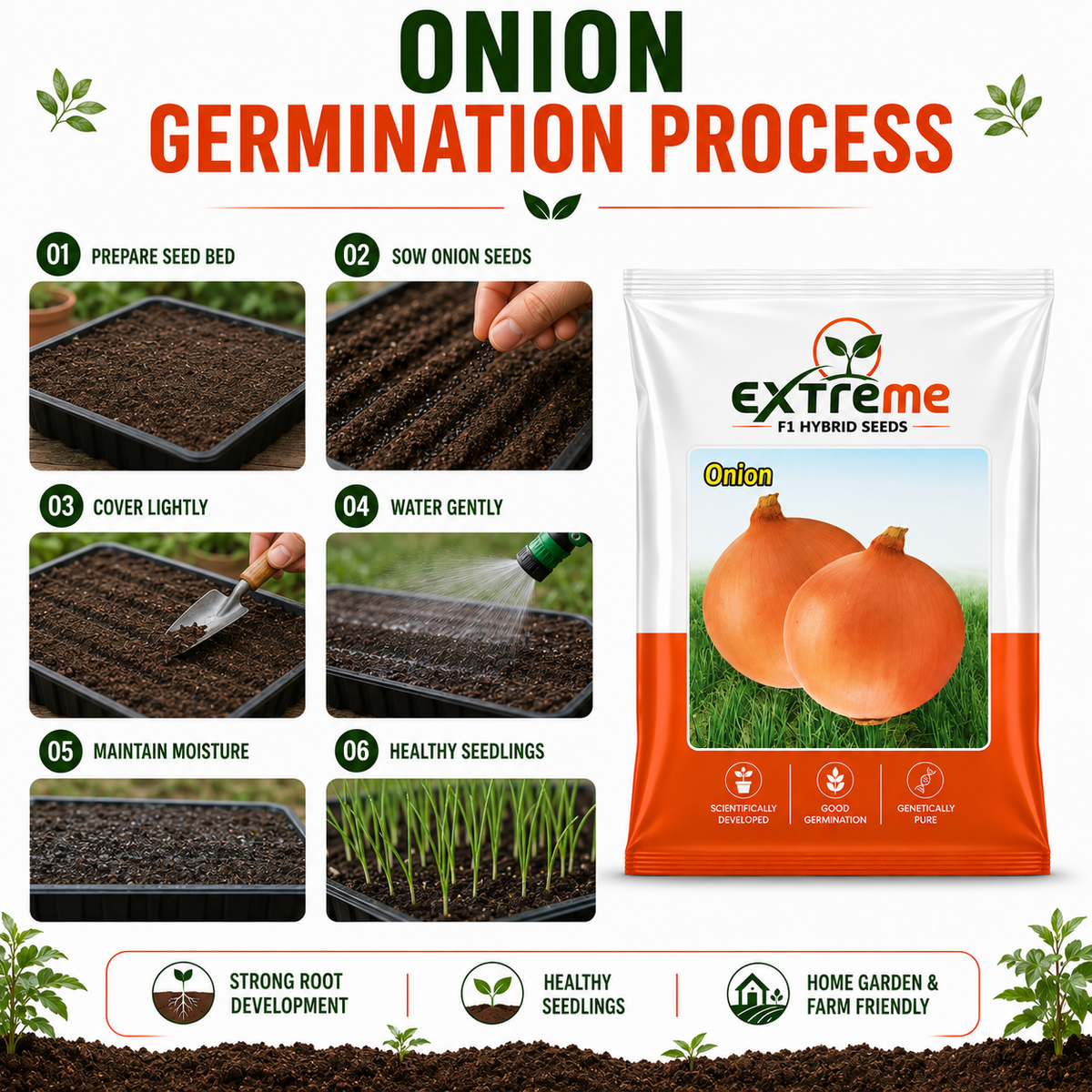 Extreme F1 Hybrid Copper Onion Seeds 10 GM | Premium Onion Vegetable Seeds | Pyaz Seeds for Home Garden, Kitchen Garden, Terrace Garden, Pots, Grow Bags & Outdoor Farming