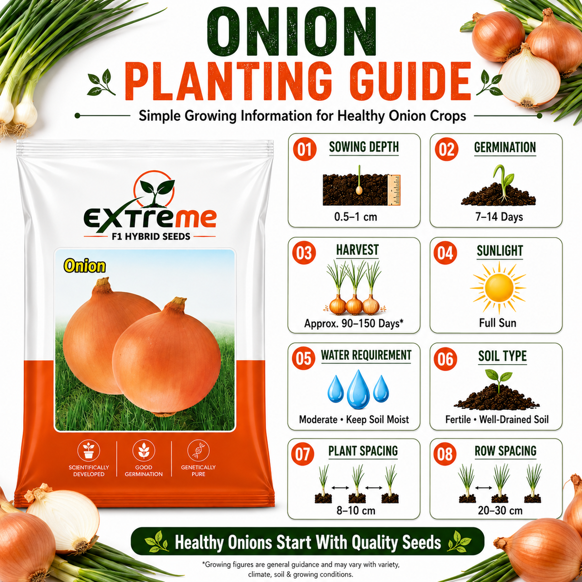 Extreme F1 Hybrid Copper Onion Seeds 10 GM | Premium Onion Vegetable Seeds | Pyaz Seeds for Home Garden, Kitchen Garden, Terrace Garden, Pots, Grow Bags & Outdoor Farming