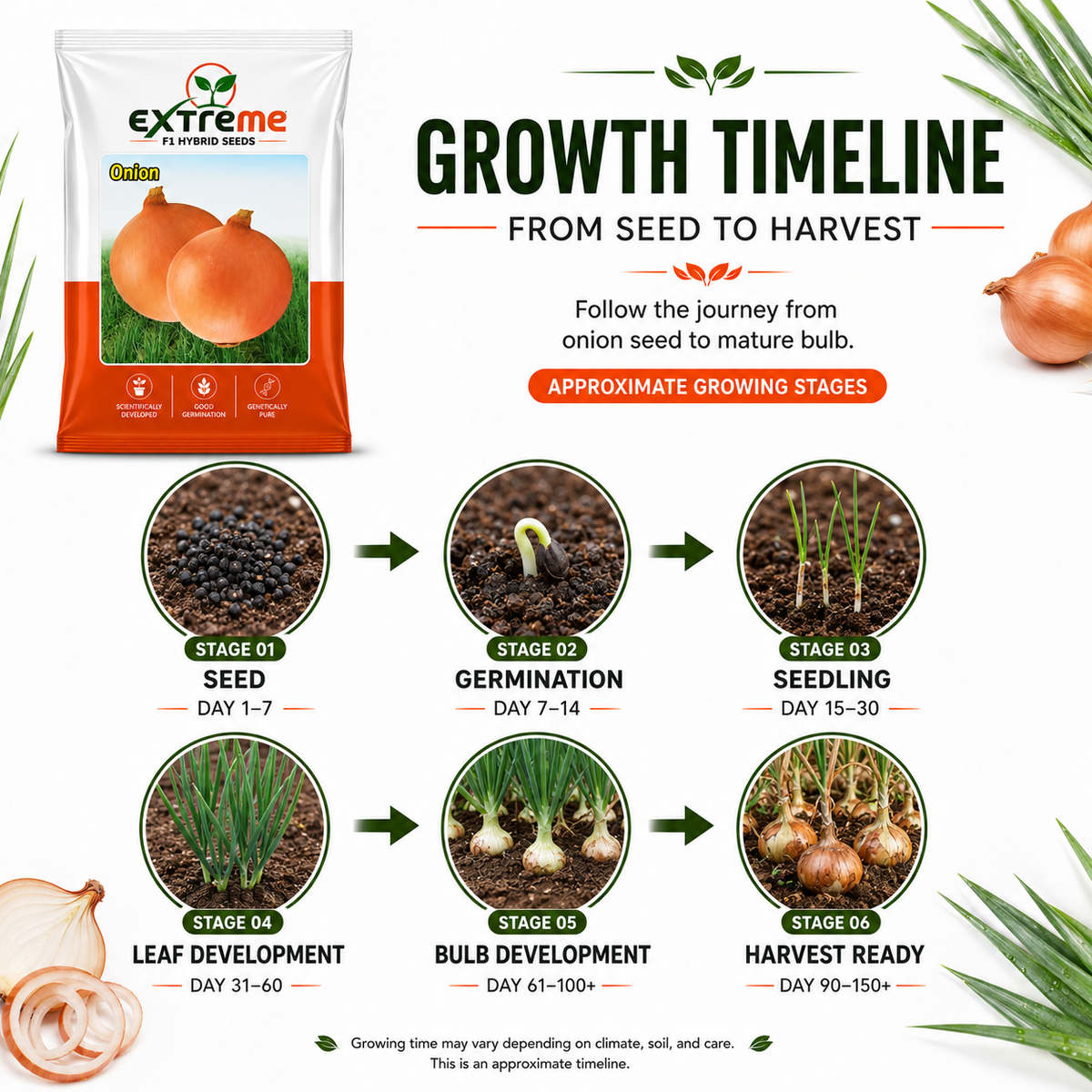 Extreme F1 Hybrid Copper Onion Seeds 10 GM | Premium Onion Vegetable Seeds | Pyaz Seeds for Home Garden, Kitchen Garden, Terrace Garden, Pots, Grow Bags & Outdoor Farming